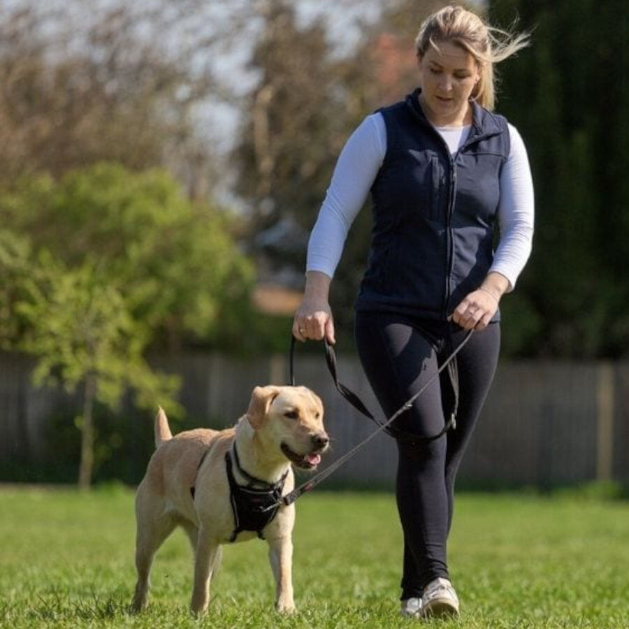Halti correa de adiestramiento negra para perros medianos y peque&ntilde;os, , large Imagen numero 3