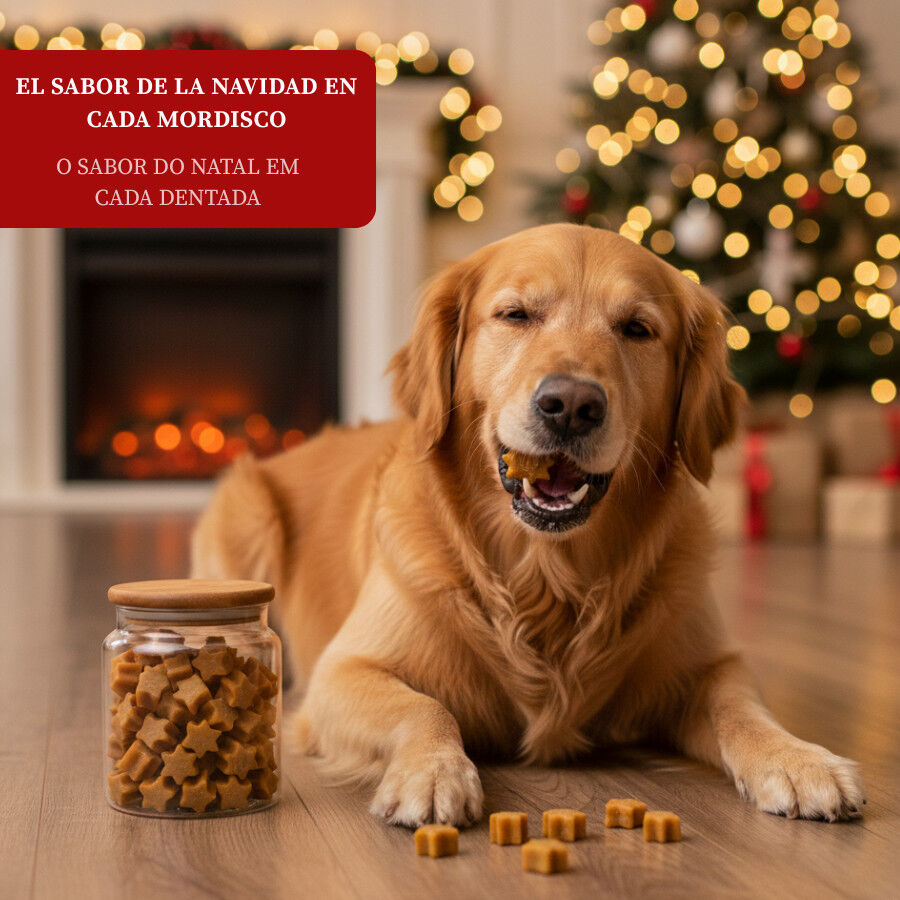 Wonder Christmas Galletitas Navideñas para perros thumbnail