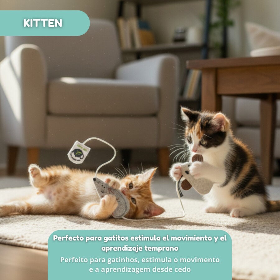 Tootoy! Ratón de Tela con Catnip para gatitos thumbnail