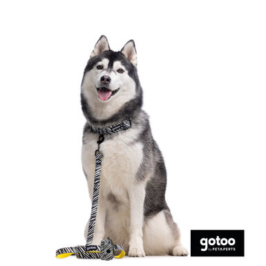 Gotoo Correa estampada zebra para perros