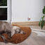 Beaphar CaniComfort Difusor Relajante con Recambio para perros, , large indicador imagen numero 4