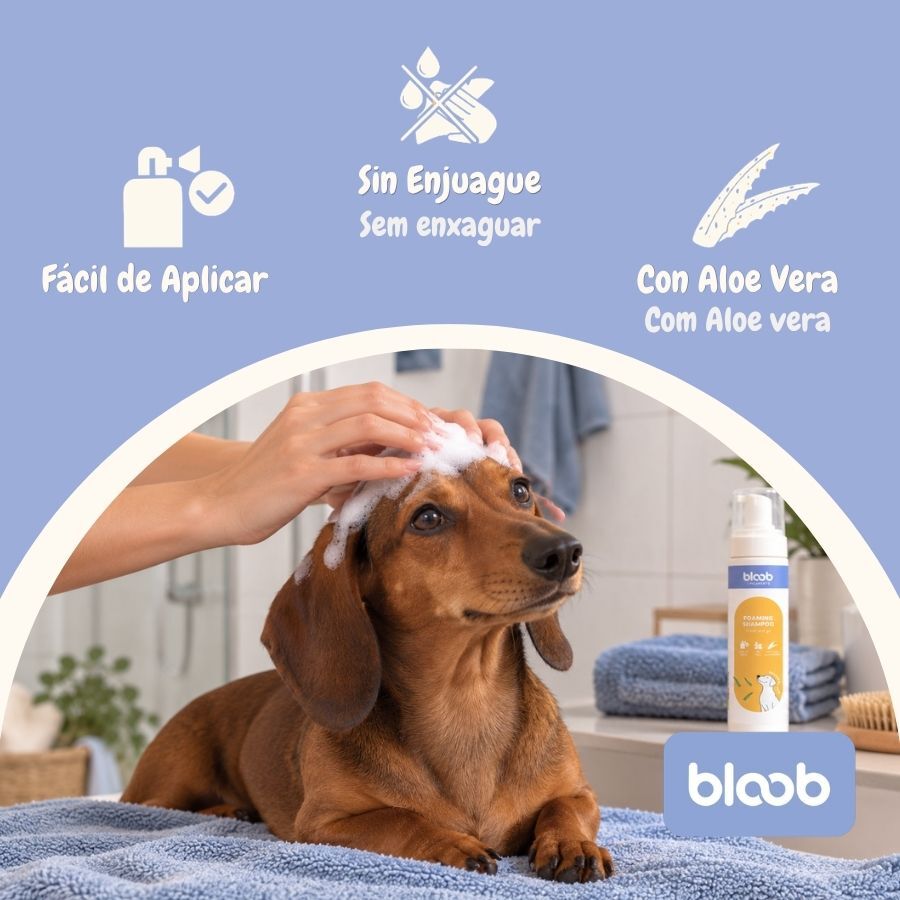 Bloob Champ&uacute; Seco en Espuma para perros, , large Imagen numero 3