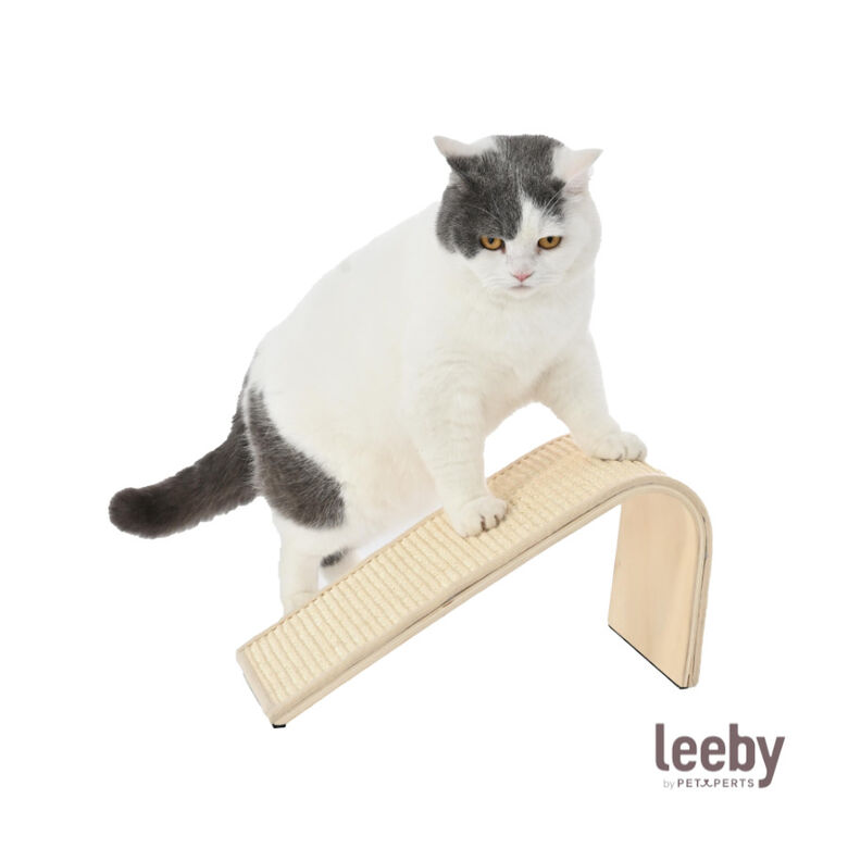 Leeby Feliz tabla rascador para gatos thumbnail