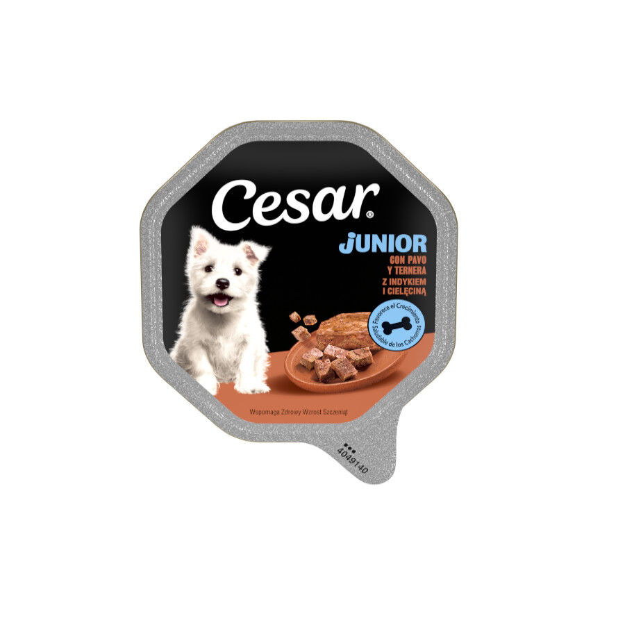 150 g Cesar Pavo y Ternera Tarrina en Gelatina para Cachorros, , large Imagen numero 1