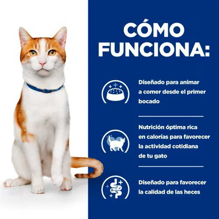 Hill's Prescription Diet ON-Care Pollo pienso para gatos thumbnail