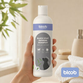 Bloob Champ&uacute; Definidor Mantos Negros Mel&oacute;n para perros
