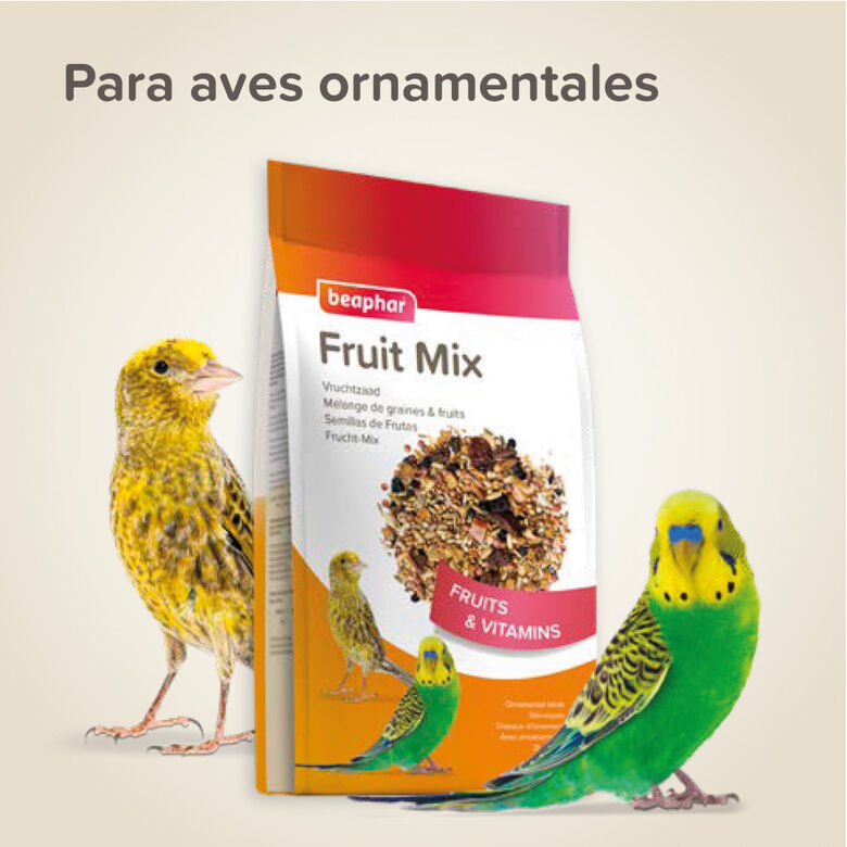 Beaphar Semillas de frutas para pájaros thumbnail