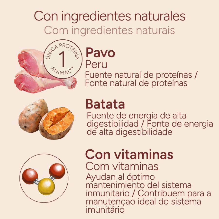 400 g Criadores Monoproteico Pavo y Batatas lata para perros, , large Imagen numero 4
