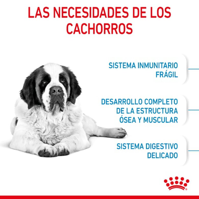 Royal Canin Junior Giant pienso para perros, , large image number null