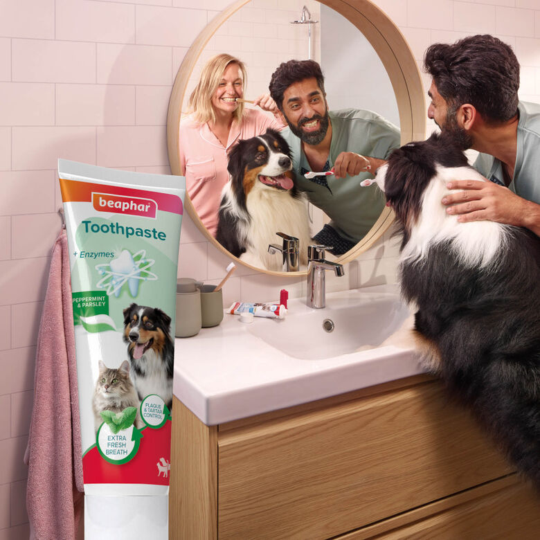 Beaphar Pasta Dental  Menta  Perejil para Perros y Gatos thumbnail