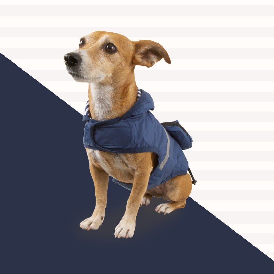 Outech Impermeable con Bolsillo Azul Marino para perros, , large Imagen numero 3