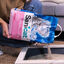 5 L Sanicat Kitten Arena Superabsorbente para gatitos, , large indicador imagen numero 4