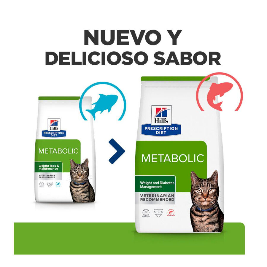 1.5 kg Hill's Prescription Diet Metabolic Salm&oacute;n pienso para gatos, , large Imagen numero 2