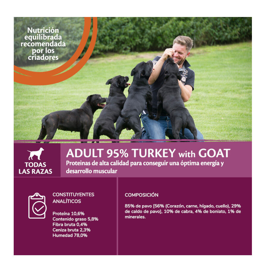 Wellness Core Pavo y Cabra Lata para perros thumbnail