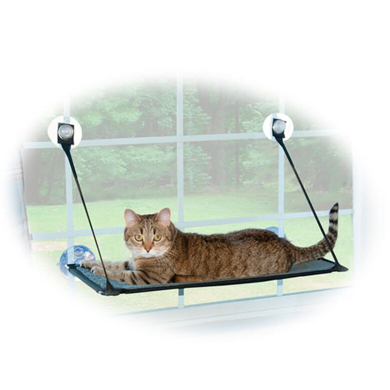 Hamaca para ventana de gato para gatos de interior, resistente, ajustable,  duradera, estable, que proporciona un baño de sol completo, ahorro de