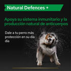 Pro Plan Relax + para perros, , large image number null