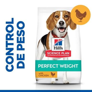 Hill's Science Plan Perfect Weight Adult Medium Pollo pienso para perros
