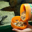 JBL Pro Terra Molluscus alimento para tortugas, , large indicador imagen numero 3