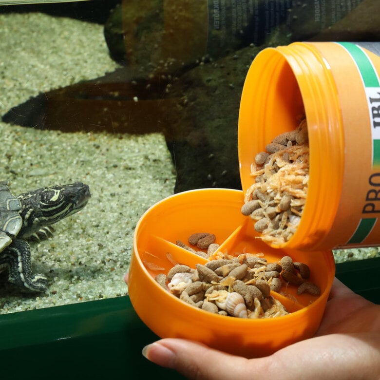 JBL Pro Terra Molluscus alimento para tortugas,  Imagen numero 3 JBL Pro Terra Molluscus alimento para tortugas, , large Imagen numero 3