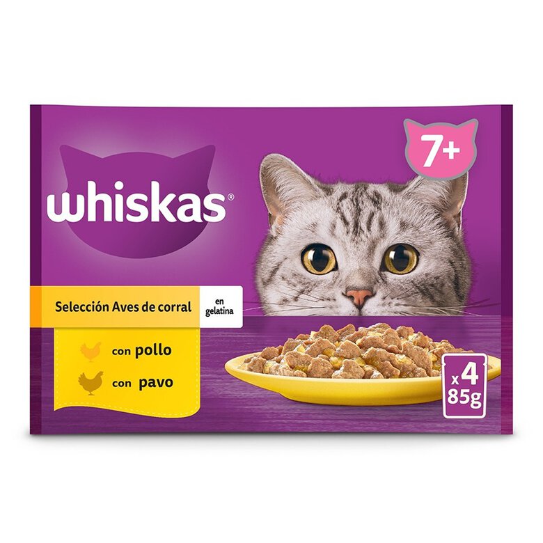 4 sobres x 85 g Whiskas Selección Aves Gelatina en Bolsita para Gatos Senior,  Imagen numero 1 4 sobres x 85 g Whiskas Selección Aves Gelatina en Bolsita para Gatos Senior, , large Imagen numero 1