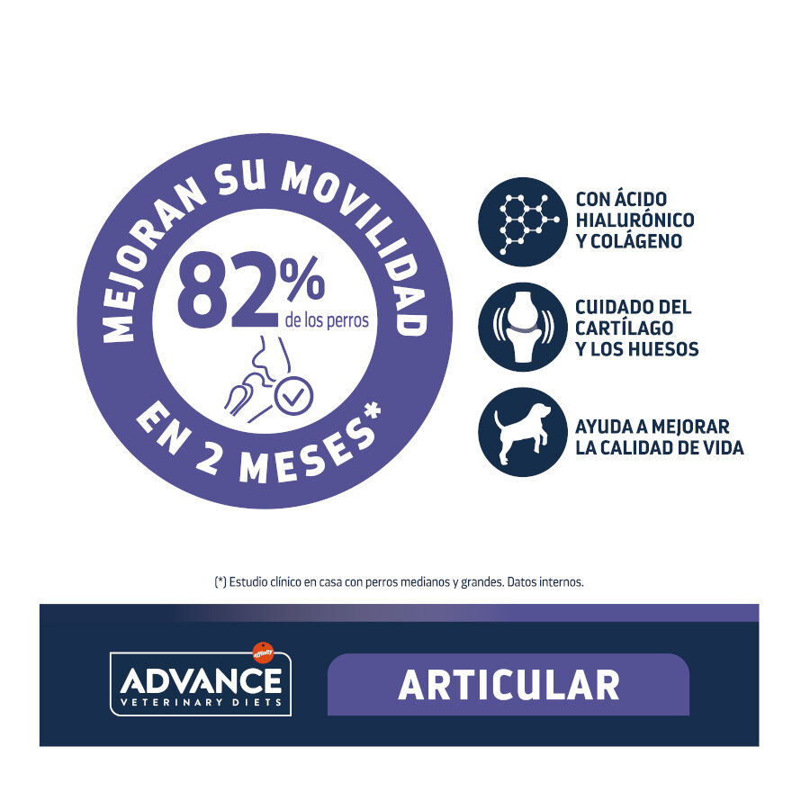 Advance Veterinary Diets Articular pienso para perros thumbnail