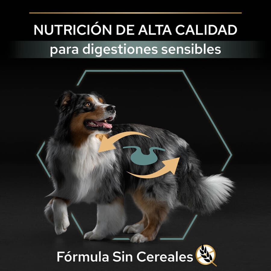 Pro Plan Adult Medium y Large Digestión Pavo pienso para perros thumbnail