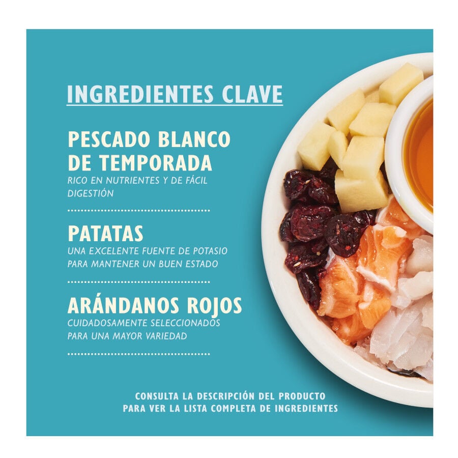 2 kg Lily's Kitchen Pescado blanco pienso para gatos, , large Imagen numero 2