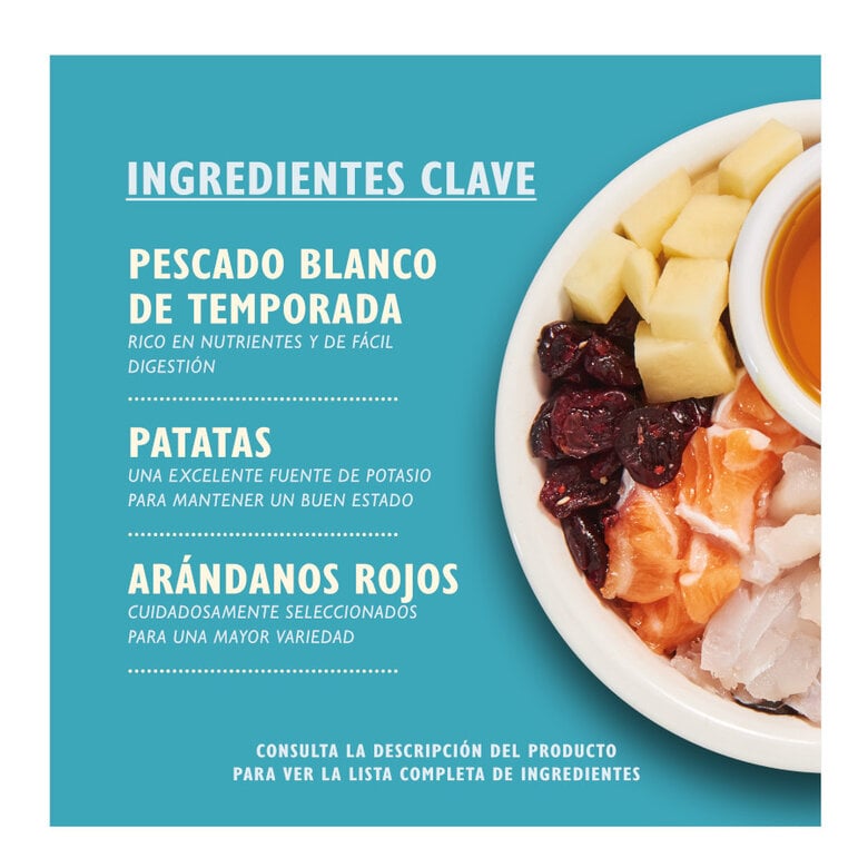 2 kg Lily's Kitchen Pescado blanco pienso para gatos,  Imagen numero 2 2 kg Lily's Kitchen Pescado blanco pienso para gatos, , large Imagen numero 2