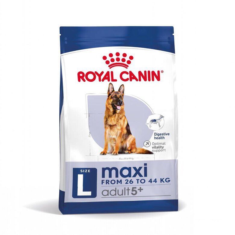 Royal Canin Maxi Adult 5+ pienso para perros senior de raza grande thumbnail