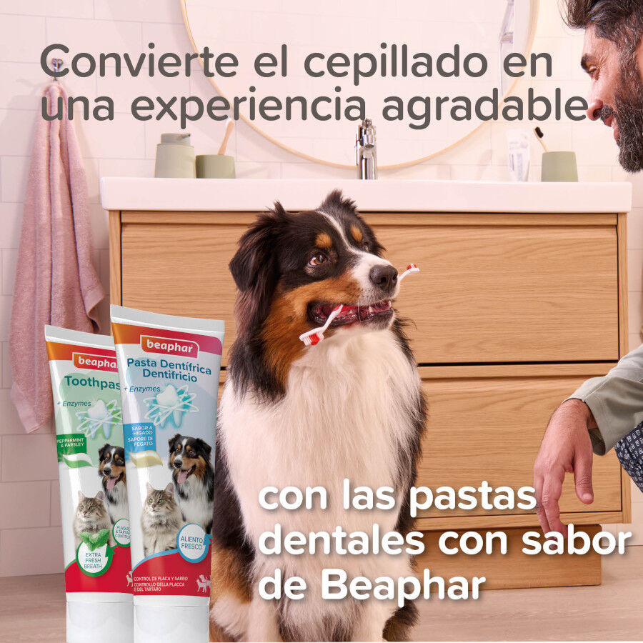 Beaphar Cepillo Dental de Bambú para Perros y Gatos thumbnail