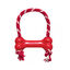 Kong Hueso Goodie Bone porta chuches para perros indicador imagen numero 1