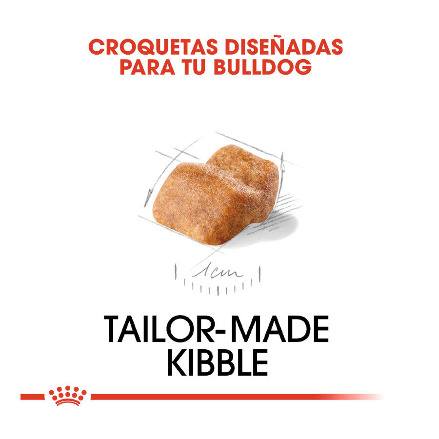 12 kg Royal Canin Puppy Bulldog pienso para cachorros, , large Imagen numero 5