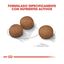 12 kg Royal Canin Digestive Care Medium pienso para perros, , large indicador imagen numero 4