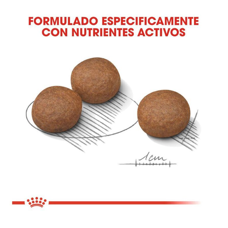 Royal Canin Digestive Care Medium pienso para perros thumbnail