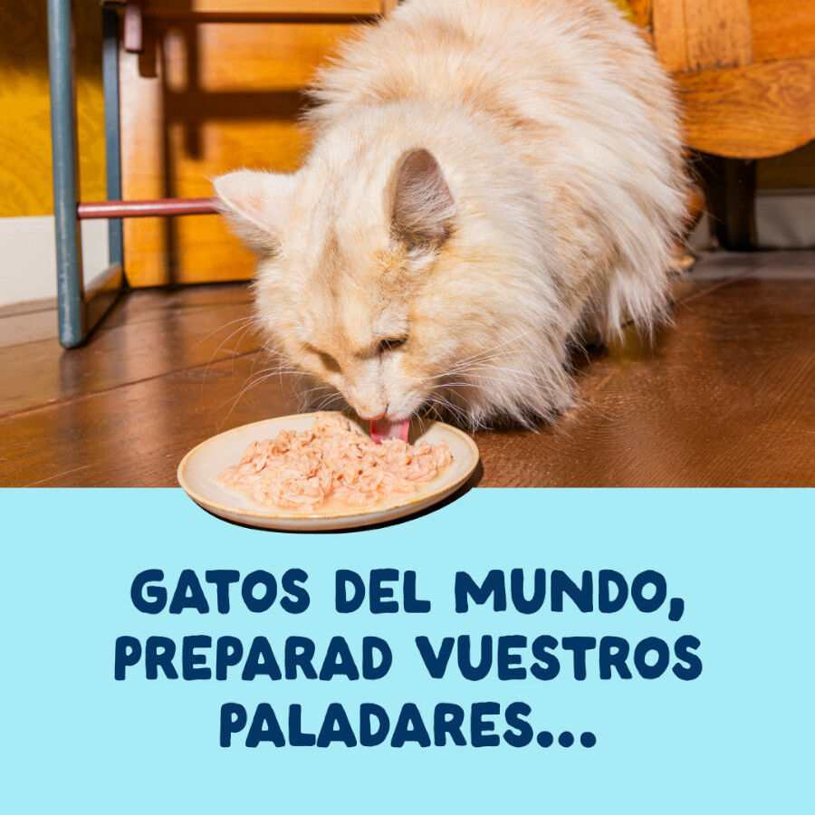 70 g Edgard & Cooper Filetes de At&uacute;n y Calamar lata para gatos, , large Imagen numero 2