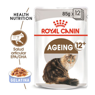 Royal Canin Senior +12 gelatina sobres para gatos  