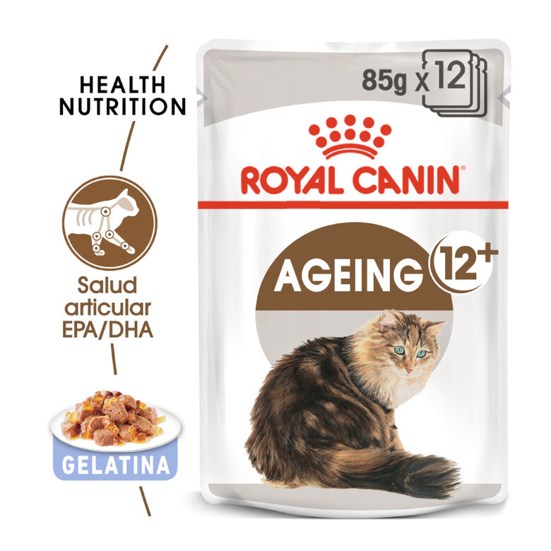 85 g Royal Canin Ageing 12+ gelatina sobres para gatos,  Imagen numero 2 85 g Royal Canin Ageing 12+ gelatina sobres para gatos, , large Imagen numero 2