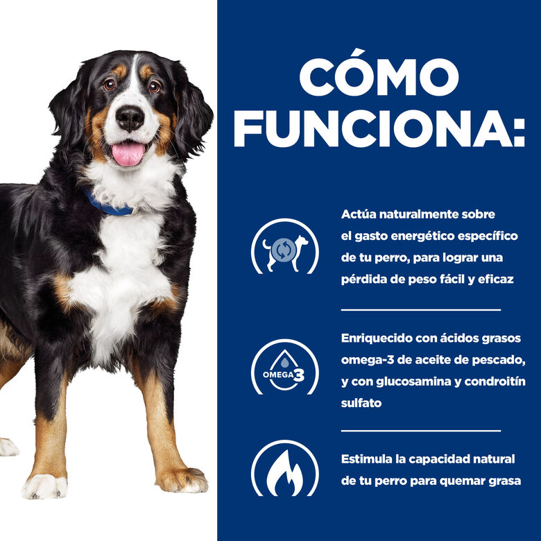 Hill&#039;s Prescription Diet Canine j/d Metabolic + Mobility lata para perros thumbnail
