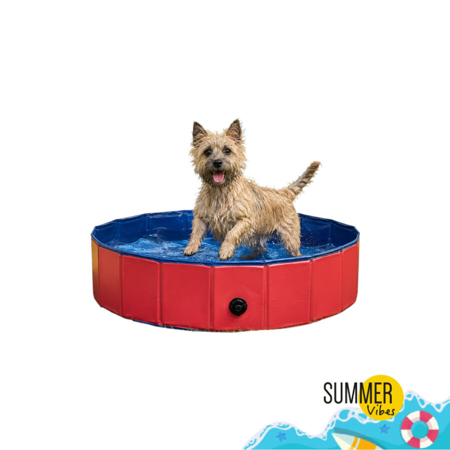 Summer Vibes Piscina Roja para perros, , large Imagen numero 7