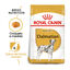 12 kg Royal Canin Adult Dálmata pienso para perros, , large indicador imagen numero 2