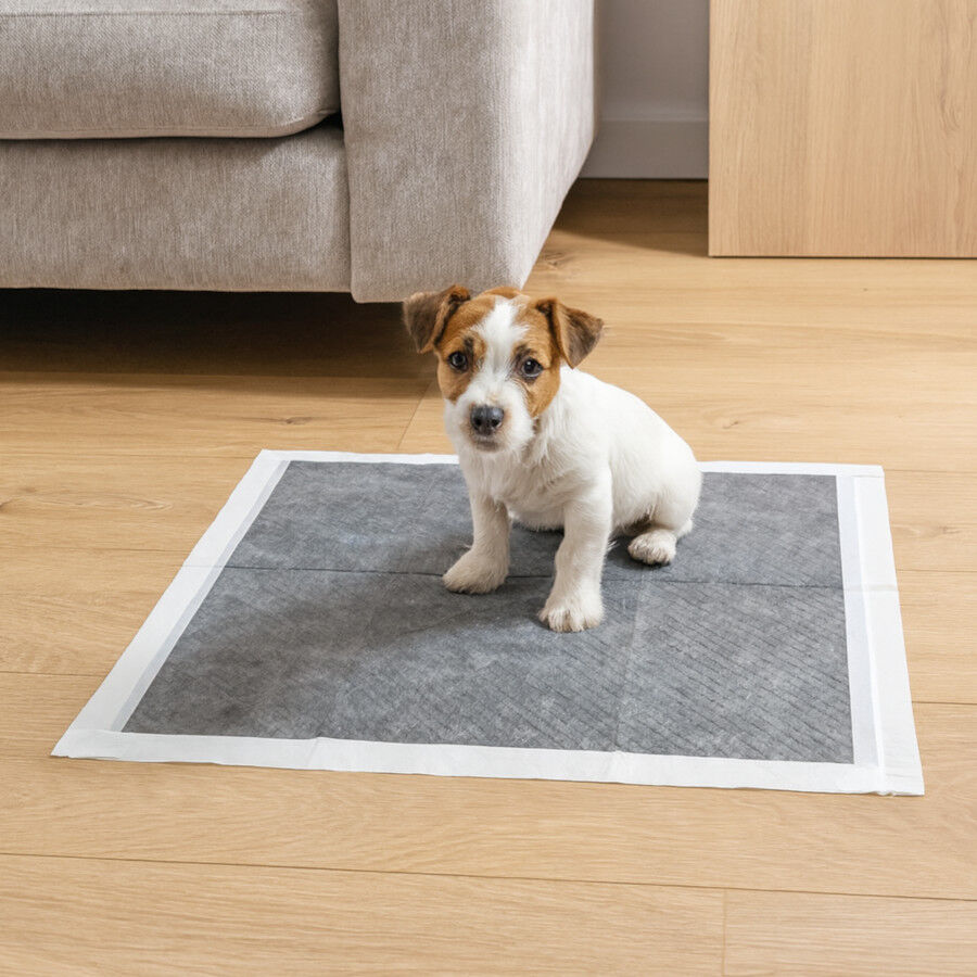 Nice Care Empapadores Carbon para perros thumbnail