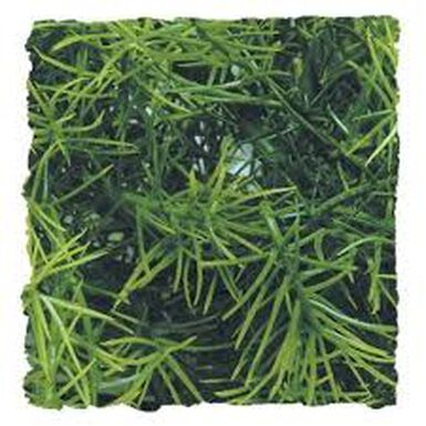 Zoo Med Planta Ariticial Casuarina para terrarios