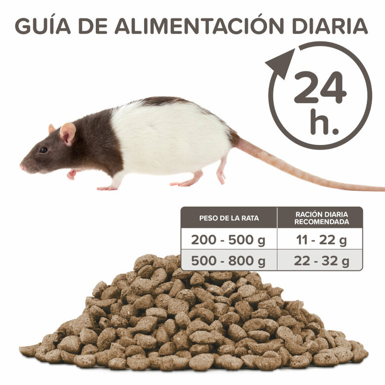 Beaphar Care+ Pienso para ratas, , large image number null