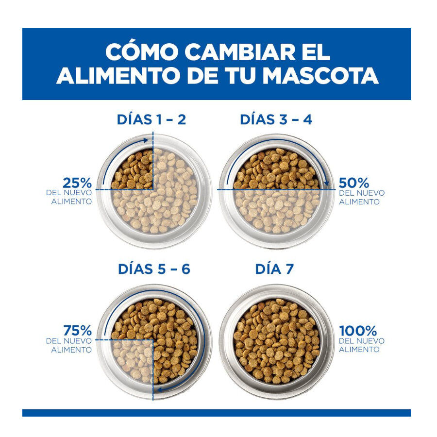 12 kg Hill's Science Plan Perfect Weight Adult Medium Pollo pienso para perros, , large Imagen numero 6