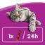 3 barritas Whiskas Sticks Snacks Pollo para Gatos, , large indicador imagen numero 2