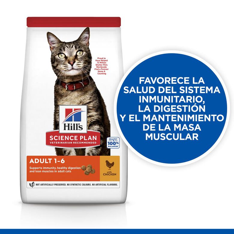 Hill&#039;s Science Plan Adult Pollo pienso para gatos thumbnail