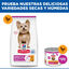 6 kg Hill's Science Plan Adult Small y Mini Pollo pienso para perros, , large indicador imagen numero 8