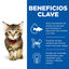 12 sobres x 85 g Hill's Science Plan Kitten Pollo y Pavo en Salsa sobre para gatos, , large indicador imagen numero 2