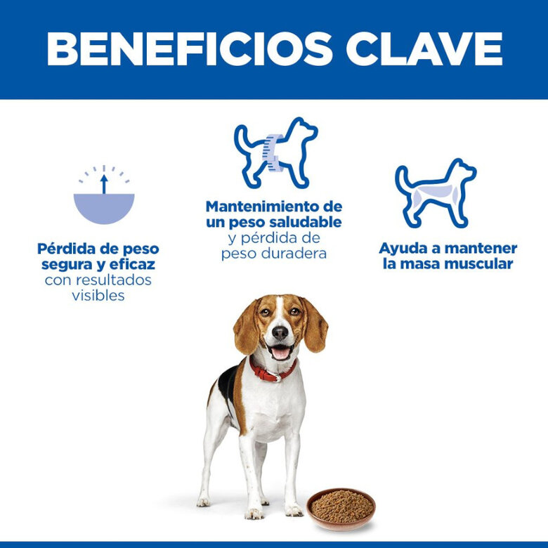 363 g Hill's Adult Perfect Weight Pollo y Vegetales lata para perros,  Imagen numero 3 363 g Hill's Adult Perfect Weight Pollo y Vegetales lata para perros, , large Imagen numero 3