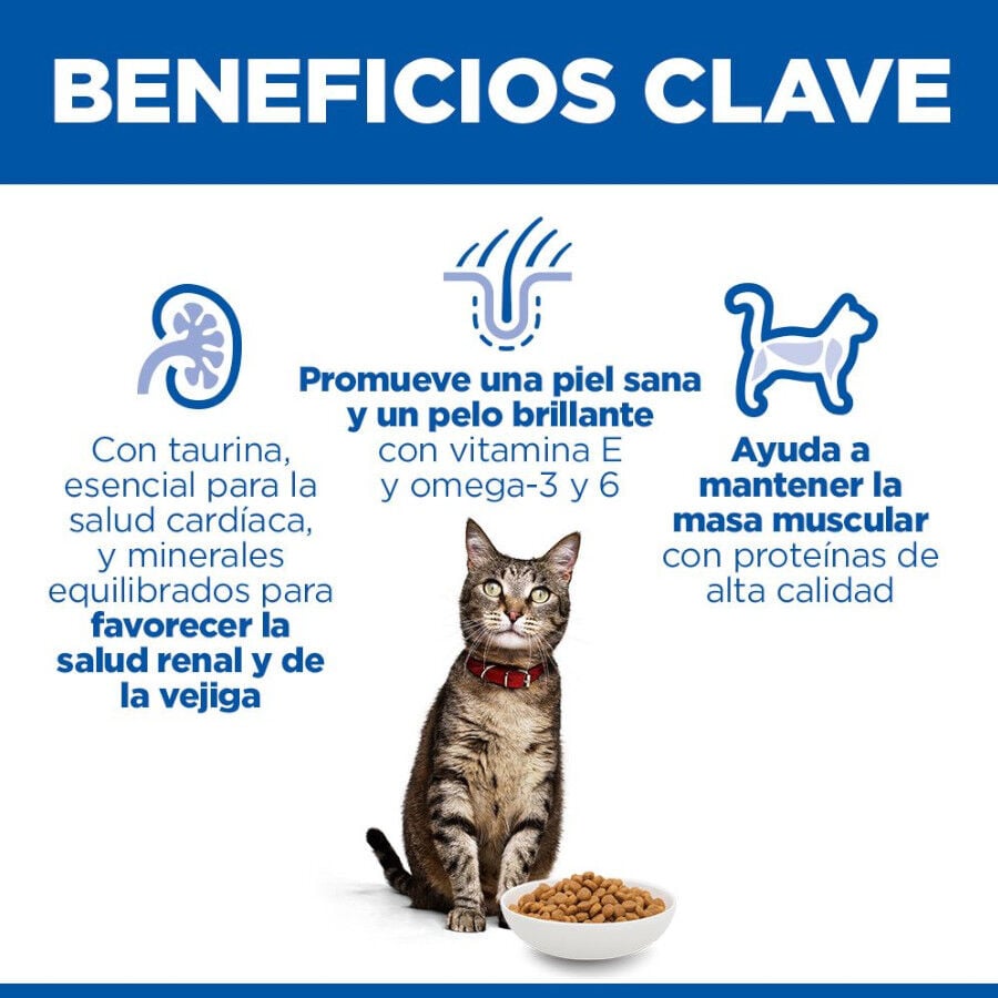 Hill's Science Plan Adult Pienso Pollo para Gatos thumbnail